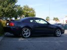 nice Cobra!