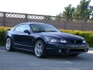 nice Cobra!